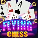 Flying Chess
