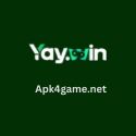 Yaywin